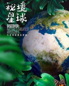 有哪些适合秋天喝的养生饮品?知识星球-解密专属领域的最佳平台
