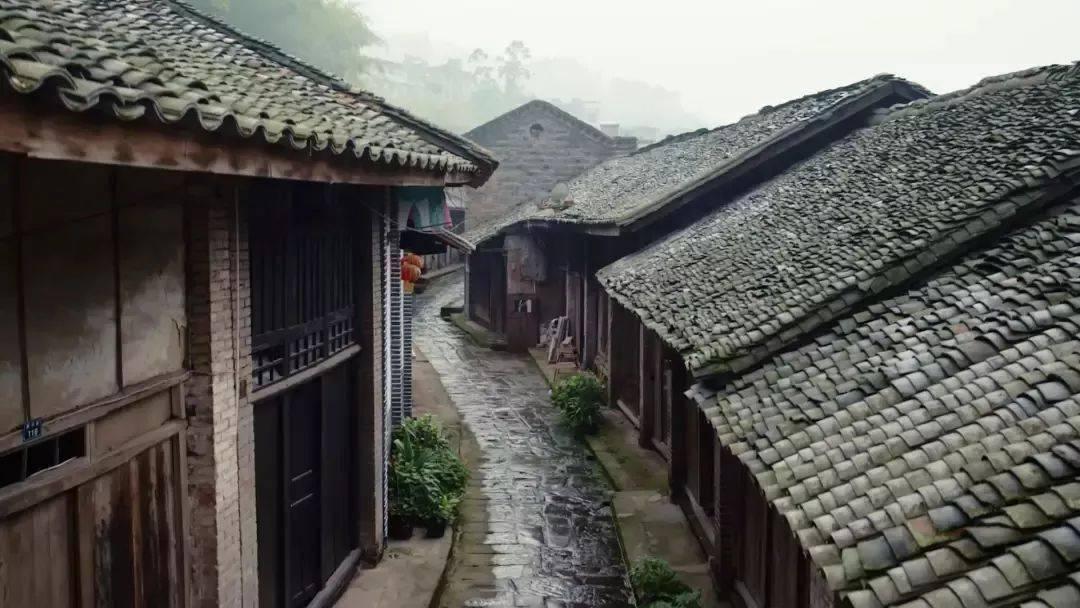 竞技宝one